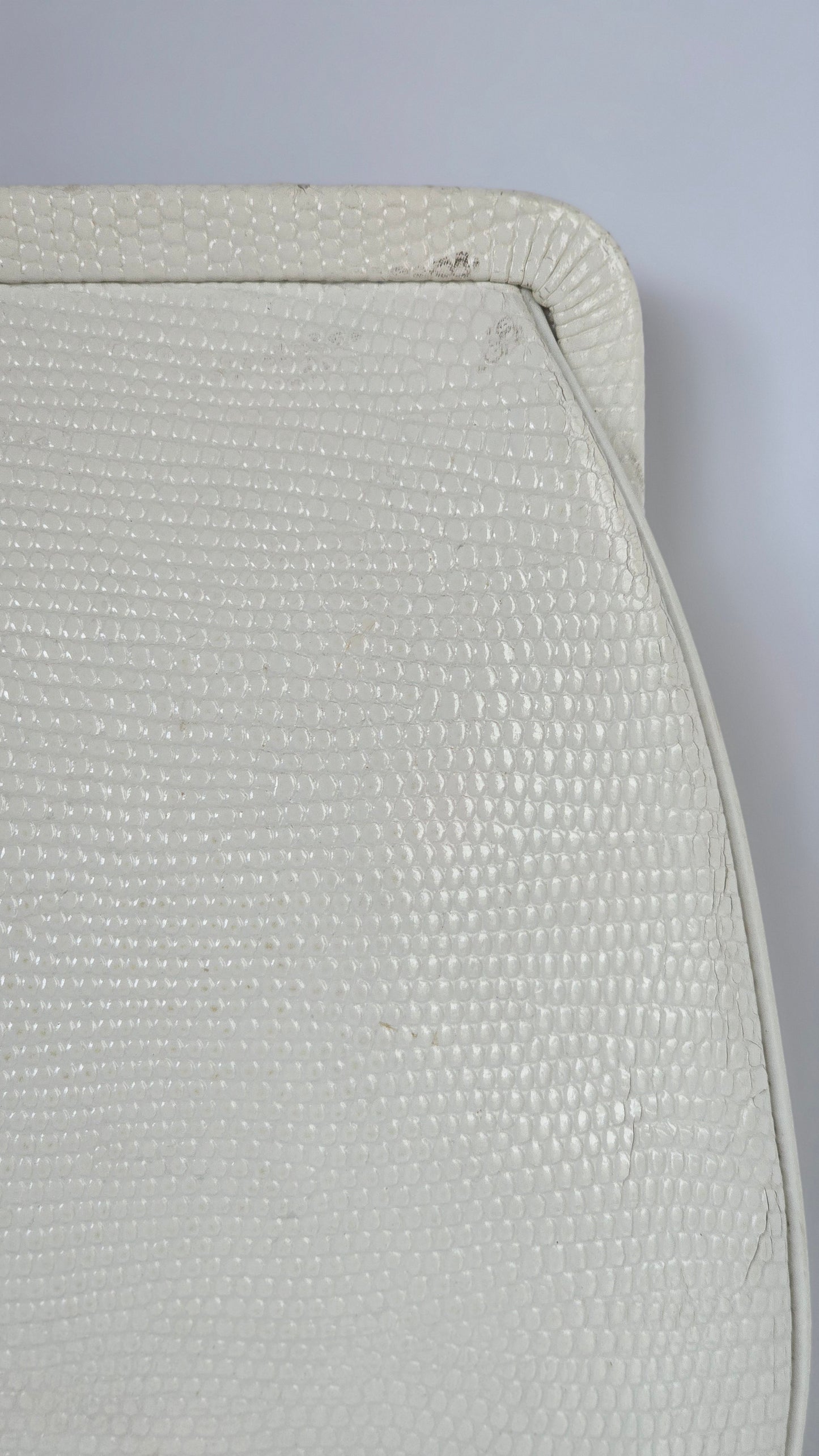 Mayer New York Genuine White Lizard Skin Clutch