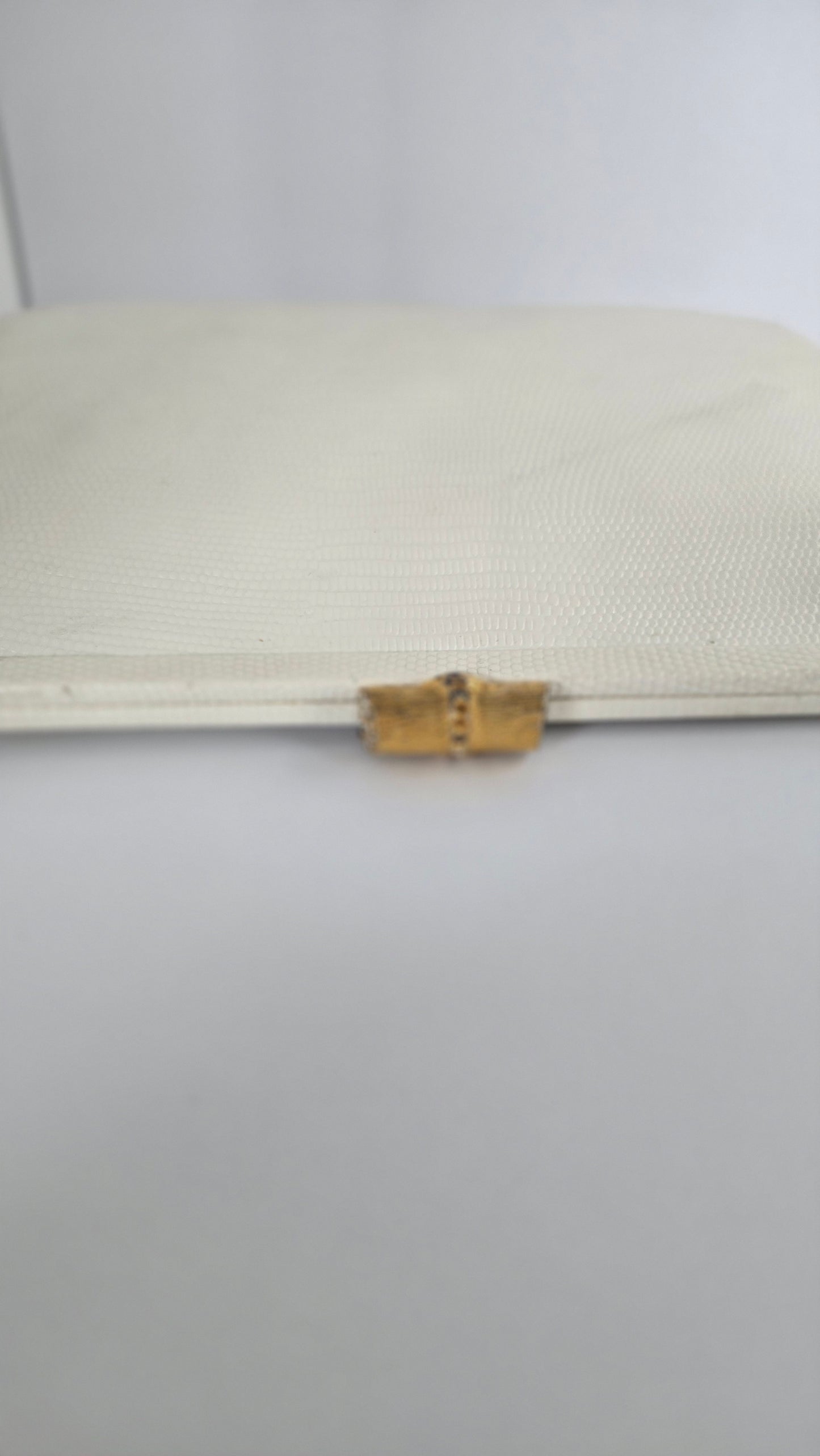 Mayer New York Genuine White Lizard Skin Clutch